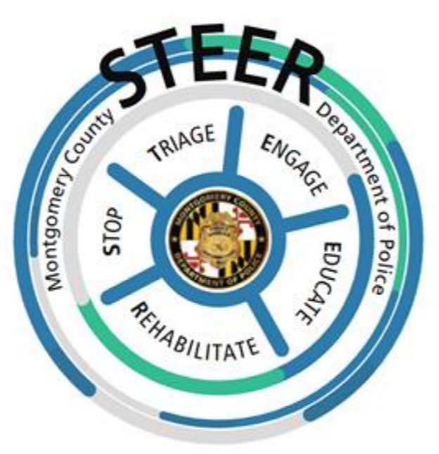 Stop, Triage, Engage, Educate and Rehabilitate (STEER) 