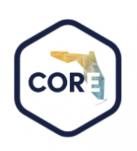 Coordinated Opioid Recovery Network (CORE Network)
